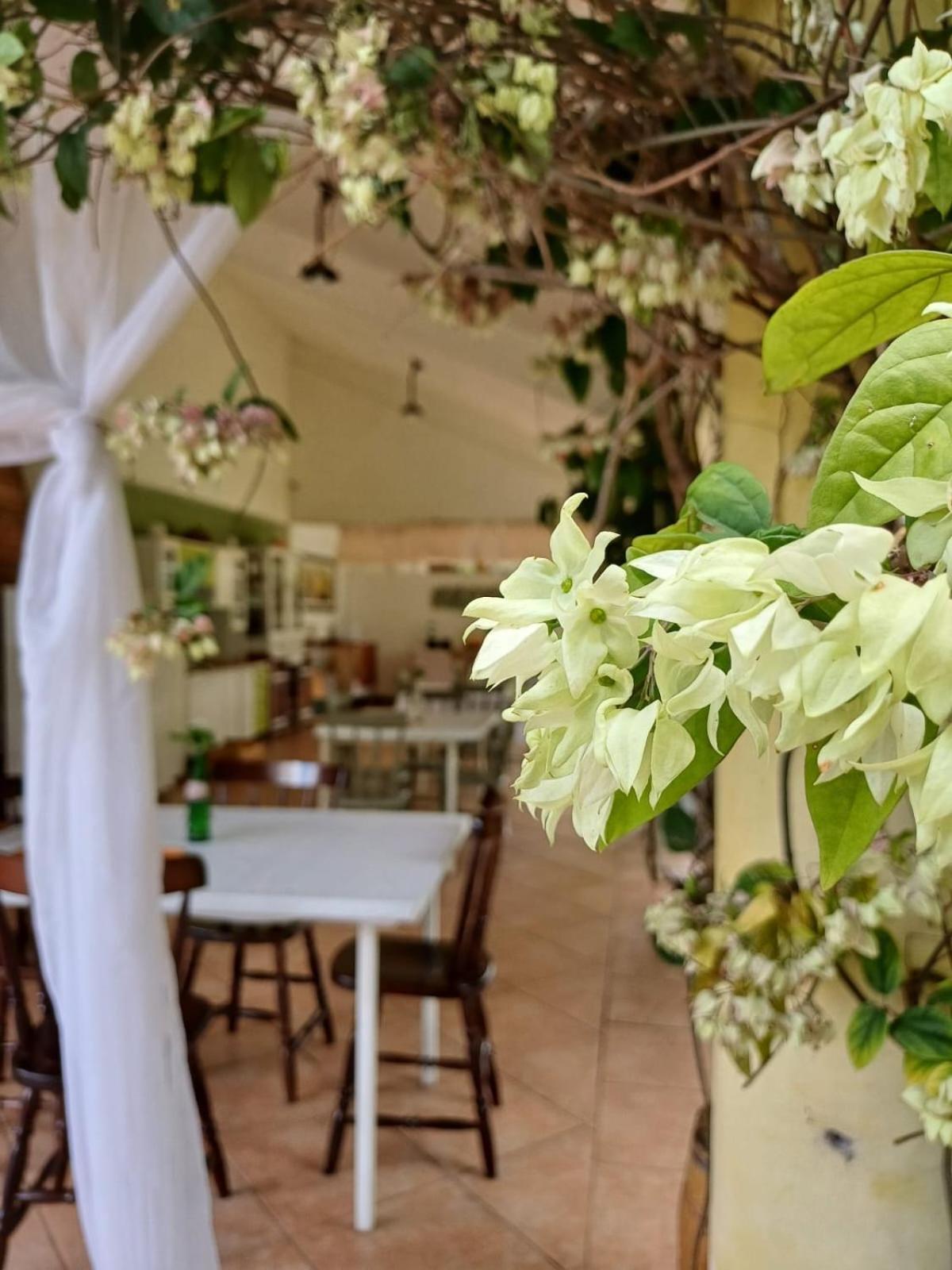 Chacara Rosa Cortiana Bed & Breakfast São Gabriel Exterior foto
